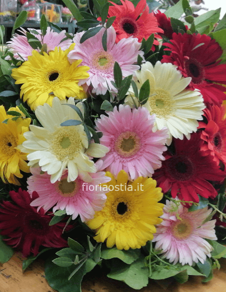 Bouquet  di gerbere