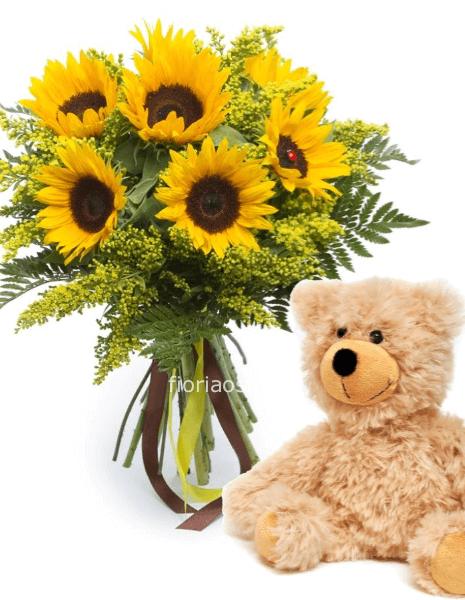 Girasoli + peluche