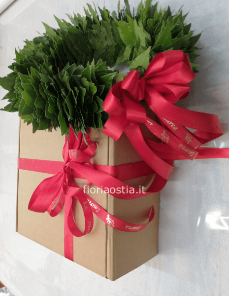 Coroncina laurea 