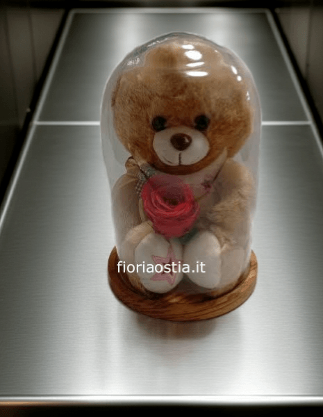 Teddy bear in teca